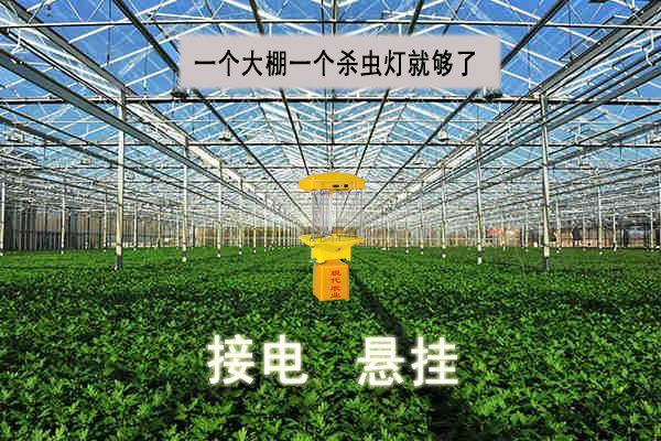 生態(tài)農業(yè)用自動殺蟲燈專業(yè)殺蟲